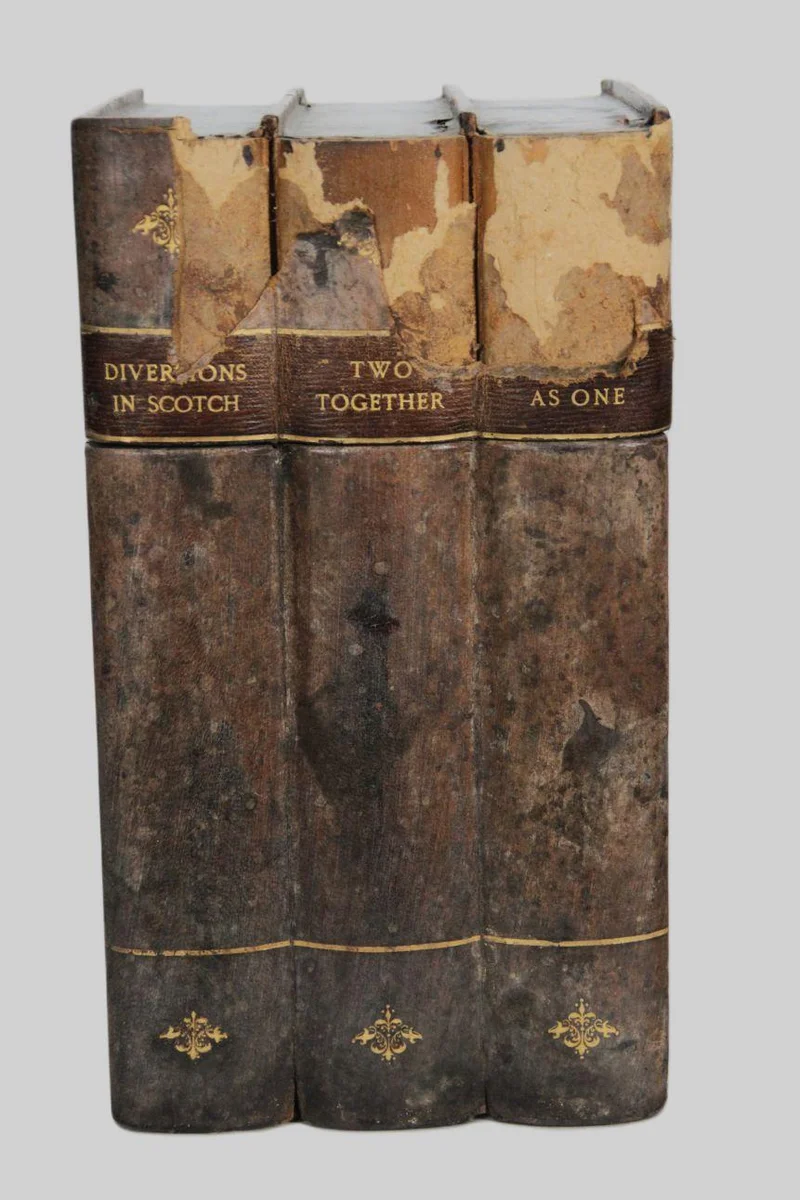 Doos voor twee whiskykaraffen en drinkglazen - Diversen › Dozen en kistjes - €225.00 - Grote doos in vorm van 3 oude boeken, bekleed met sierleder. Binnenin twee vakken voor elk een vierkante whiskykaraf en op de zijkant een set van 6 whiskyglaasjes.
25 x 19cm, 35cm hoog.
ca 1900
