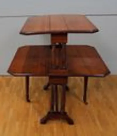 Dubbele sutherland tafel thumbnail 5