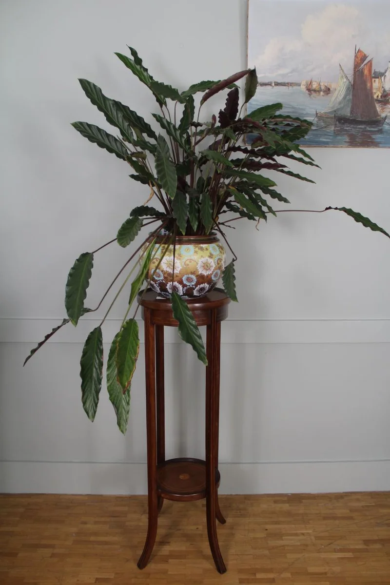 Edwardian plantenstaander - Meubel › Bijzetmeubel - Plantenstaander in mahoniehout met centraal inlegwerk in satijnhout.
30cm diameter, 95cm hoog
Edwardian periode, ca 1910/1930