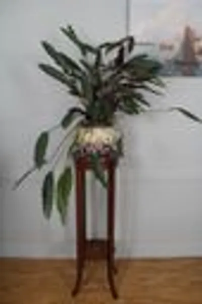 Edwardian plantenstaander thumbnail 2