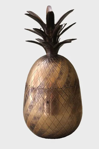 Ijshouder in ananasvorm