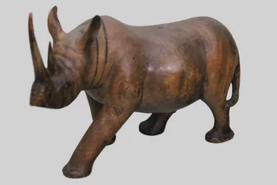 Neushoorn (1)