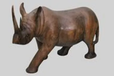Neushoorn (1) thumbnail 1
