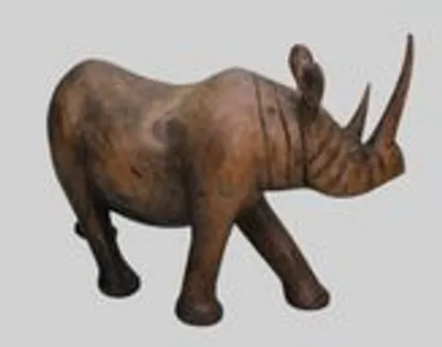 Neushoorn (1) thumbnail 2