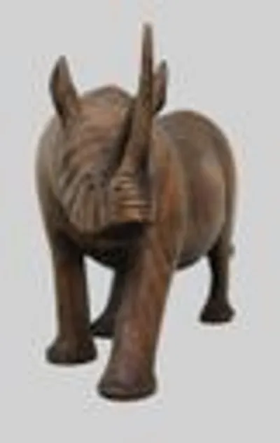 Neushoorn (1) thumbnail 3
