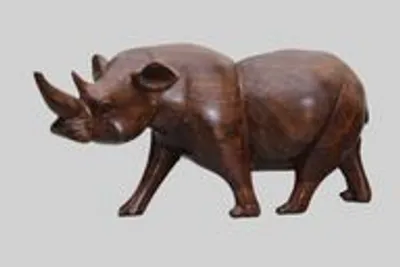 Neushoorn (2) thumbnail 1