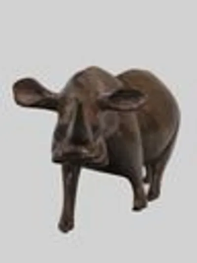 Neushoorn (2) thumbnail 3