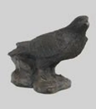 Roofvogel (2) thumbnail 1